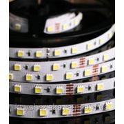 Белая светодиодная лента SMD 5050 LED 60-24V IP 33 (не влагозащищенная) Стандарт фото