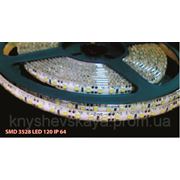 Тепло-белая светодиодная лента SMD 3528 LED 120 IP 64 (влагозащищенная) Стандарт фото