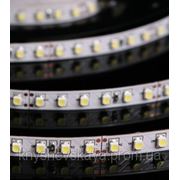 Белая светодиодная лента SMD 3528 LED 120 IP 33 (не влагозащищенная) Премиум фото
