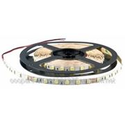 Светодиодная LED лента smd 5050 (30 диод/м) фотография