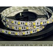 Гибкая LED лента 5050; 60LED/1m; 50mm; Горизонтальный; 12 V; IP33; 5000x10x2 фото
