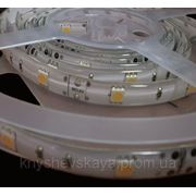 Белая светодиодная лента SMD 5050 LED 30 IP 64 (влагозащищенная) Стандарт фото