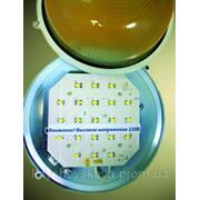 Светодиодный светильник Led-Сид 21-24 SMD 8W в корпусе светильника НПО !!!Низковольтное питание +24V фото