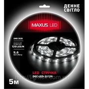 Светодиодная лента SMD3528 120 LED/M бел.хол./не герм./коричн.основа фото