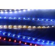 Светодиодная лента LED SMD 5050, 60шт/м, IP68, цвета: холодный белый, красный, синий.