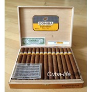 Сигары кубинские Cohiba Esplendidos фотография