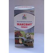 Витамины Maxvit Plus – витаминно-аминокислотный препарат производства AGIO PHARMACEUTICALS LTD. Индия фотография