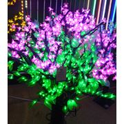Светодиодные (световые) деревья LED фотография