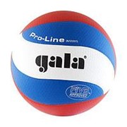 Мяч волейбольный Gala Pro-Line 10 Fivb арт. BV5591S р. 5 фото