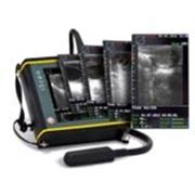 Сканеры ультразвуковые ветеринарные IScan (со встроенным линейным ректальным зондом) и 50 LCD LED display фото