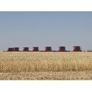 Продается аграрное хозяйство фото