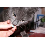 Ветеринарные препараты для кошек в Караганде фото