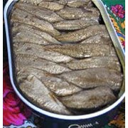 Консервирование пищевых продуктов- РЫБА фото