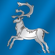 Флаг города Вилюйск (Саха (Якутия) фото