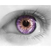 Линзы контактные цветные в Актобе фото
