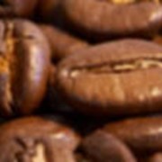 Экспортные поставки продуктов питания фото