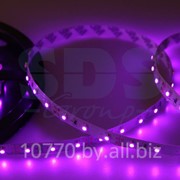 LED лента открытая, IP23, SMD 3528, 60 диодов/метр, 12V, цвет светодиодов розовый фотография