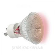 Лампа светодиодная Kanlux LED20 GU10-RE 1 Вт. фото