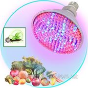 Лампа светодиодная LED - фитолампа специальная для стимуляции роста и подсветки растений фотография