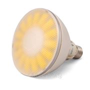 LED лампа Viribright (Вирибрайт) 18W(1500Lm) LED PAR 38 E27,220V, IP55 (влагозащита) фото