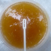 Мёд подсолнечника фото