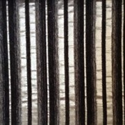 Ткани мебельные, обивочные фото