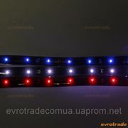 Светодиодная влагозащищенная лента Silver Star 15 LED, 30 см синий