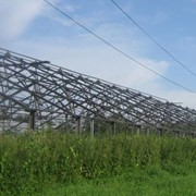 Продажа 1га теплиц из оцинкованной трубы, производство СССР 80-х годов. В хорошем состоянии. Возможна срезка. Теплицы находятся в Киевской области фото
