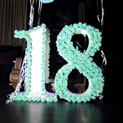 Аренда декорации цифра “18“ фото