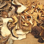Сушеные грибы фото