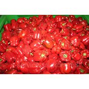 Перец болгарский (сладкий)- (Болгария) / Fresh Sweet Red Pepper (Bulgaria)