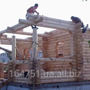 Бригада строителей выполнит сборку деревянных домов. фото