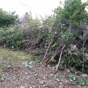 Расчистка участка, подготовка под огород Тюмень. фото