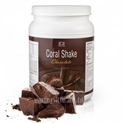 Средство для управления весом. Корал Шейк шоколад. Coral Shake Chocolate