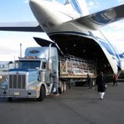 Авиаперевозки грузов по России и миру. фото