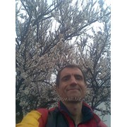 Сборка мебели кухонной фото