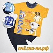 Комплект для мальчика Mini Mika футболка, шорты р.9-18 мес голубой арт.517 фотография