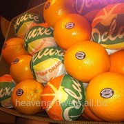 Апельсины из Пакистана, Египта