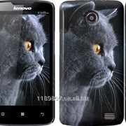 Чехол на Lenovo A820 Красивый кот 3038c-68 фото