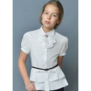 Блузки и юбки школьные фото