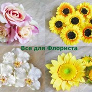 Головки цветов для флористики в ассортименте фотография
