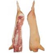 Мясо свинины в тушах фото