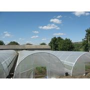 Монтаж теплиц фото