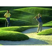 Гольф-Асоциация гольфа Республики Молдова фото