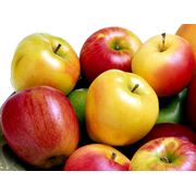 Яблоки на экспорт в Молдове фото