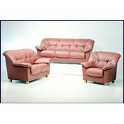 Двуместный и трехместный диван кресло