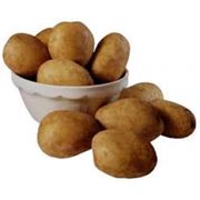 Семенной картофель Ирга фото