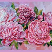 Розовые пионы (Артикул: P-195)