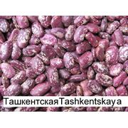 Фасоль оптом в Казахстане фото