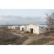 Ферма животноводческая в Молдове продажа фото
